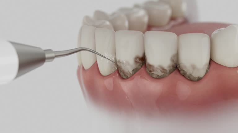 Reliable Dental contractor in Stickney, IL by Dentist Open Now